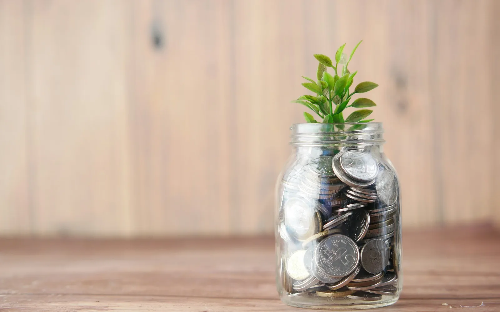 Retirement income planning documents for Ontario households.